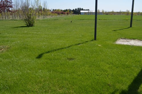 Property photo 41 - Real Estate & Personal Property Auction - 3BR Country Home on 1 Acre, Housewares, Tools, Antiques